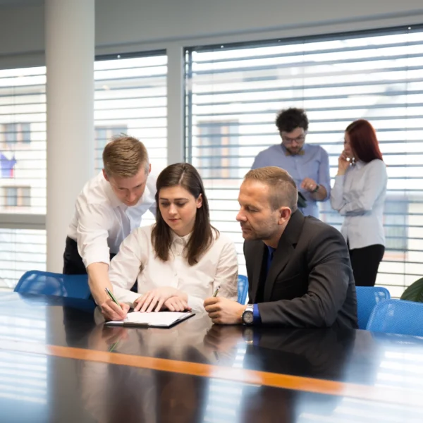 Veemi Accounting Solution